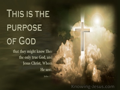 John 17:3 This Is The Purpose Of God (sage)